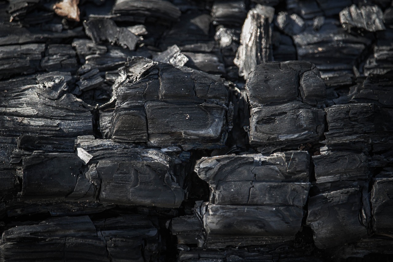 Qué diferencias hay entre el carbón vegetal y las briquetas - Combustibles  Aragón